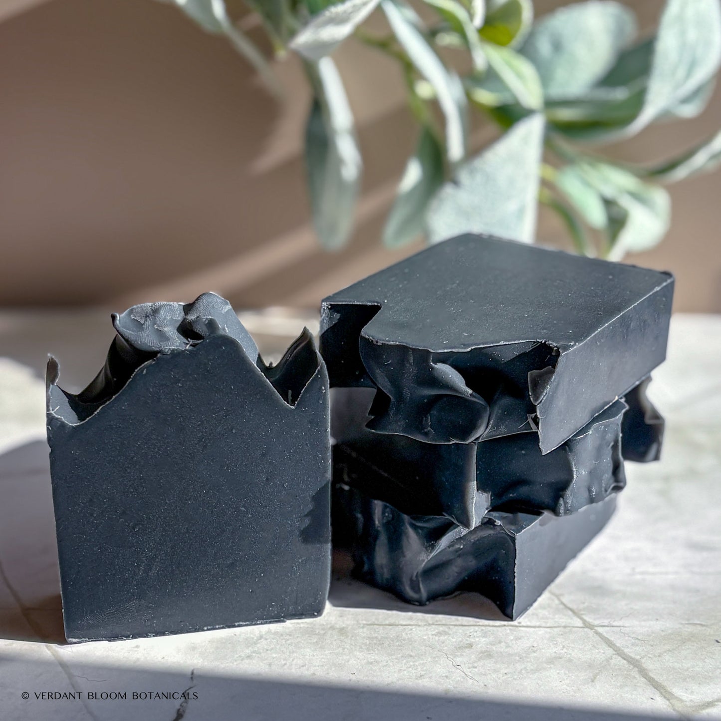 Activated Charcoal