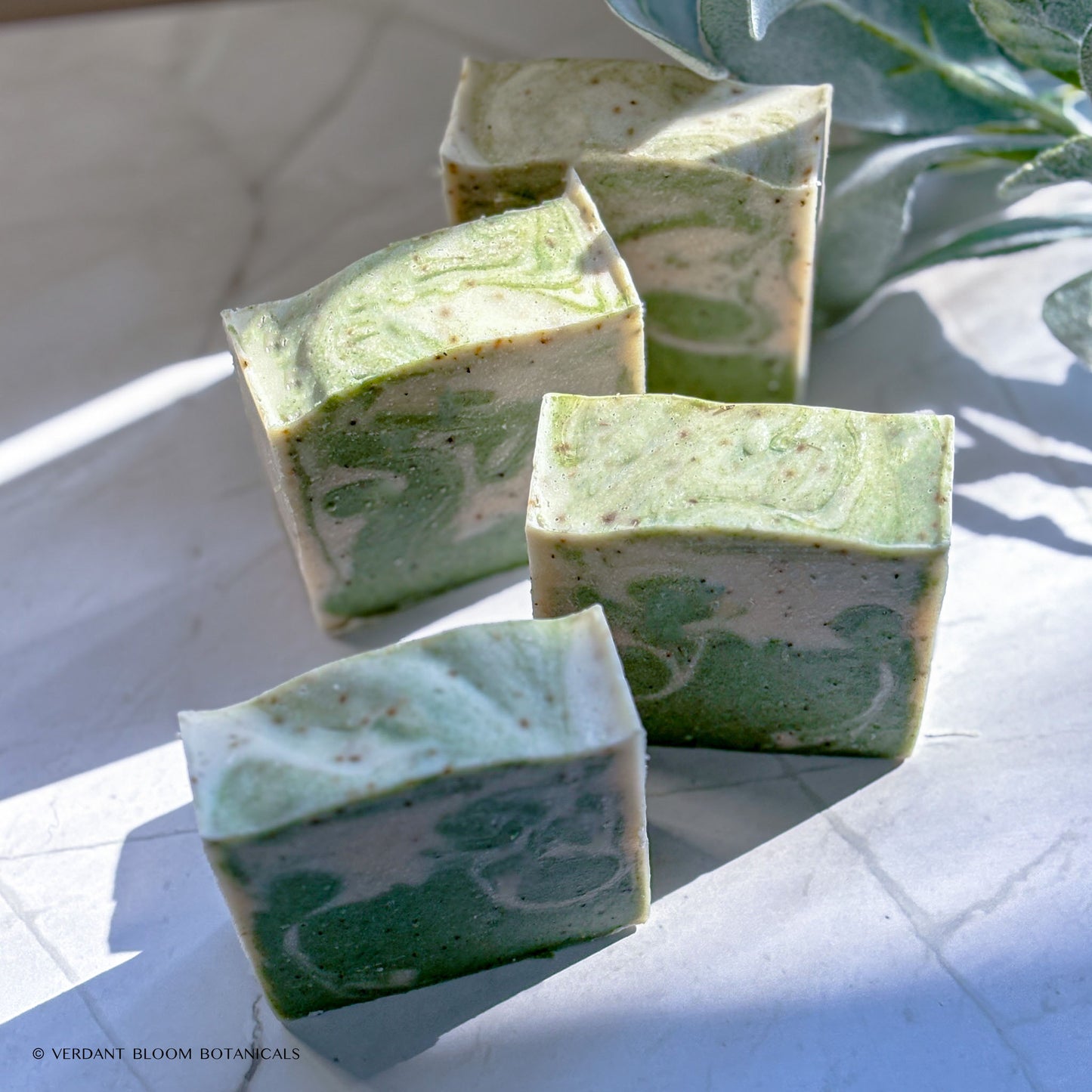 Rosemary & Mint