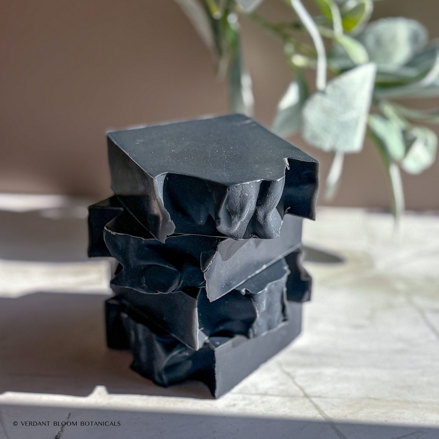 Activated Charcoal